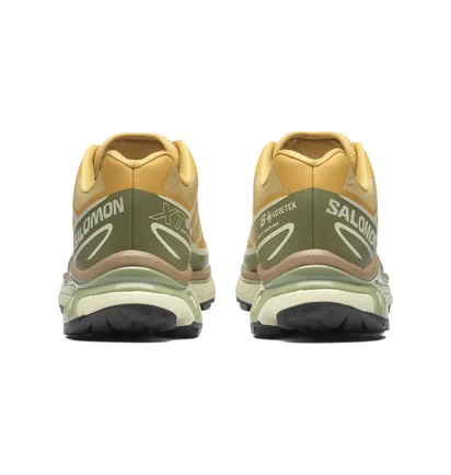 Кроссовки мужские Salomon Xt-6 Antelope/Icicle/Portabella Beige L47581000