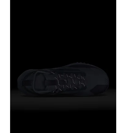 Кросівки жіночі Nike Pegasus Trail 4 Gore-Tex Violet DJ7929-501