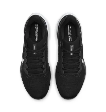 Кросівки чоловічі Nike Pegasus 41 Black FD2722-002