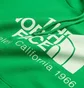 Худі чоловіче The North Face Berkeley California Hoodie Green NF0A55GFPO8