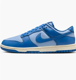 Кроссовки мужские Nike Dunk Low Blue HF5441-400