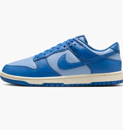 Кроссовки мужские Nike Dunk Low Blue HF5441-400