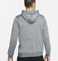 Худі чоловіче Nike M Nk Df Fc Libero Hoodie Grey DC9075-065