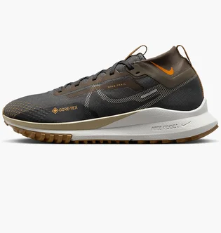 Кроссовки мужские Nike React Pegasus Trail 4 Gore-Tex Grey Fd5841-001