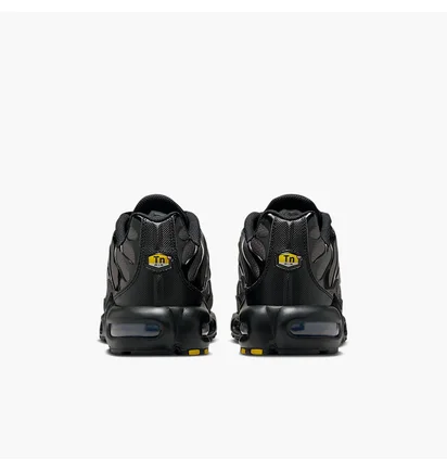 Кросівки чоловічі Nike Air Max Plus Black DM0032-018