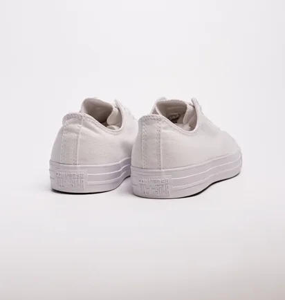 Кеды унисекс Converse Chuck Taylor All Star Mono Canvas Ox 1U647 White