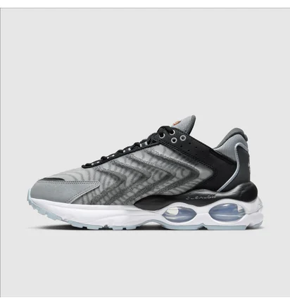 Кроссовки мужские Nike Air Max Tw Grey DQ3984-004
