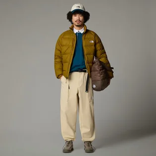 Пуховик чоловічий The North Face Hydrenalite Brown NF0A88XU1OB