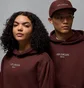 Худи унисекс Air Jordan Wordmark Bordo HJ3450-227