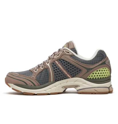 Кросівки жіночі Saucony Progrid Triumph 4 Brown/Grey S70937-3