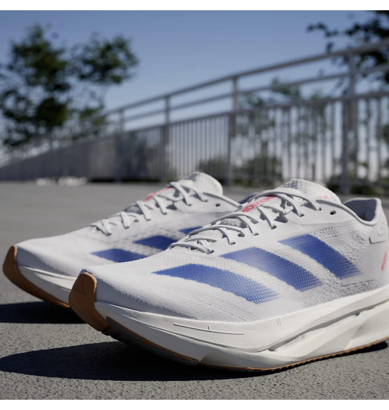 ᐉ Кросівки чоловічі Adidas Adizero Sl2 Performance White IF9383