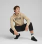 Худи мужское Puma Squad Beige 678969-83