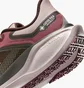 Кросівки жіночі Nike Pegasus 41 Gore Tex Bordo FQ1357-200