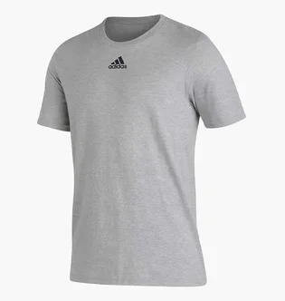 Футболка мужская Adidas Pregame Badge Of Sport Grey HT3962