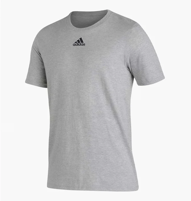 Футболка мужская Adidas Pregame Badge Of Sport Grey HT3962