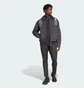 Куртка мужская Adidas Mercedes - Amg Petronas Formula One Team Grey JX0748