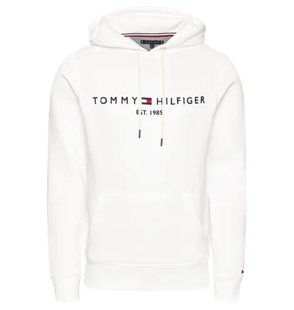 Худі чоловіче Tommy Hilfiger Logo Beige MW0MW11599