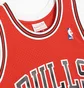 Майка мужская Mitchell & Ness Nba Swingman Chicago Bulls 97 Dennis Rodman Jersey Red SMJYGS18154-CBUSCAR97DRD