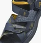 Сандалі унісекс Nike Acg Air Deschutz+ Se Blue Dr1020-400