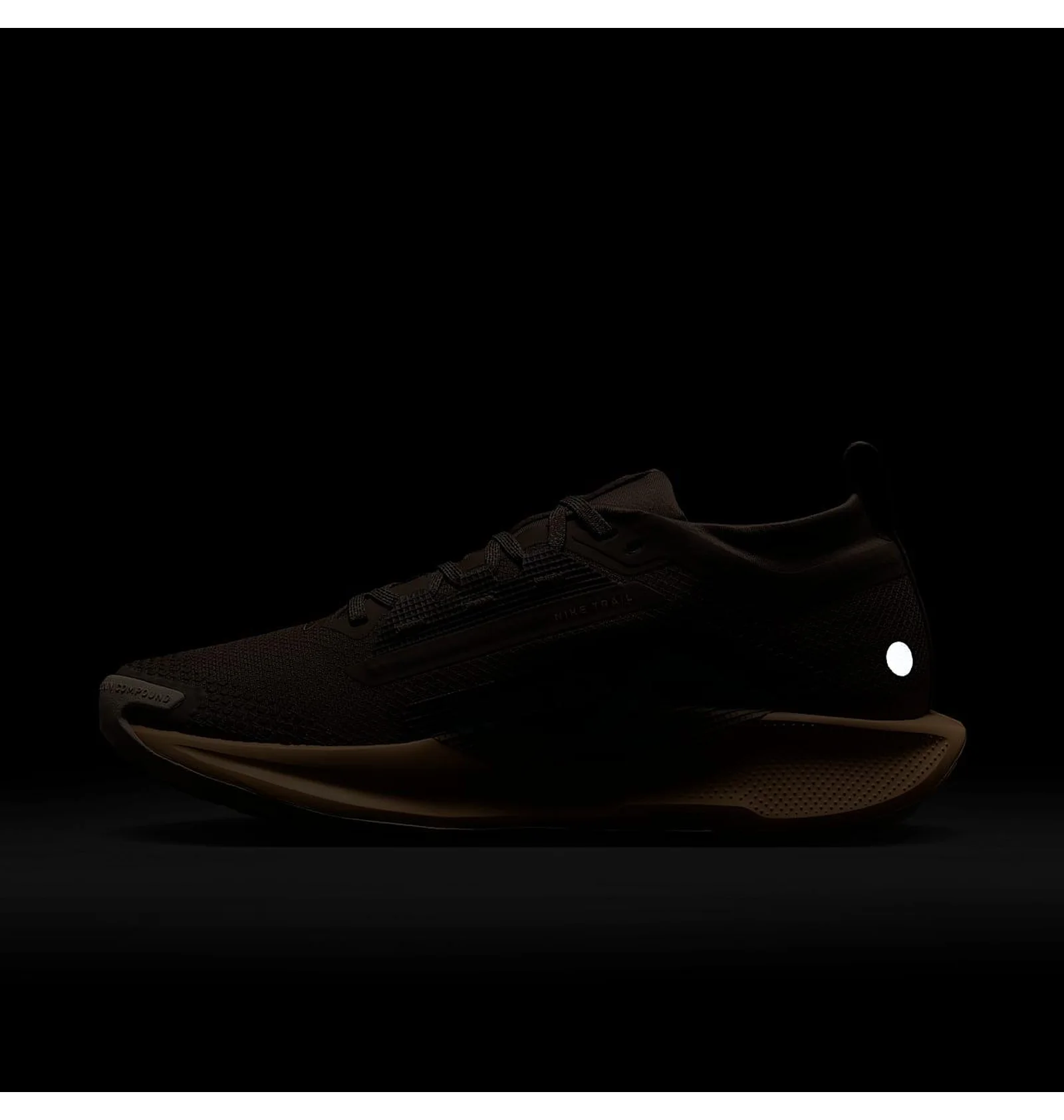 ᐉ Кросівки унісекс Nike Pegasus Trail 5 Gtx Brown FQ0912-200
