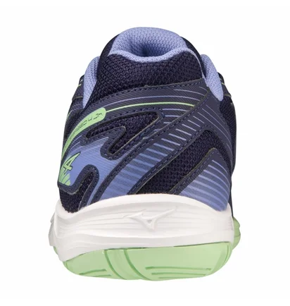 Кроссовки женские Mizuno Cyclone Speed 4 Blue V1GD231011