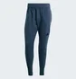 Штаны мужские Adidas Z.N.E. Winterized Tracksuit Bottoms Blue IR5244