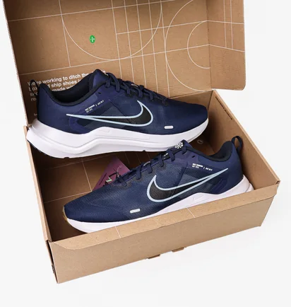 Кроссовки мужские Nike Downshifter 12 Blue Dd9293-400