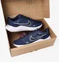 Кроссовки мужские Nike Downshifter 12 Blue Dd9293-400