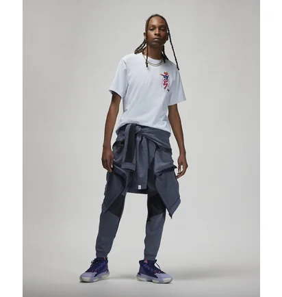 Штаны мужские Air Jordan Zion Pants Grey Dr2109-410