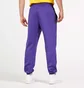 Штаны мужские Nike Los Angeles Lakers Therma Flex Violet CN3974-504