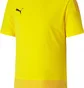 Футболка мужская Puma Teamgoal 23 Training Yellow 65648207