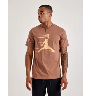Футболка чоловіча Air Jordan Mvp Jumpman Tee Brown FZ1919-223