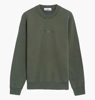 Світшот чоловічий Stone Island Institutional One Olive 811566182-V0059
