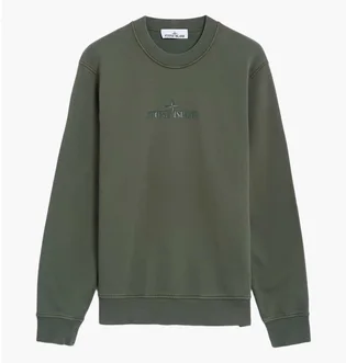 Свитшот мужской Stone Island Institutional One Olive 811566182-V0059