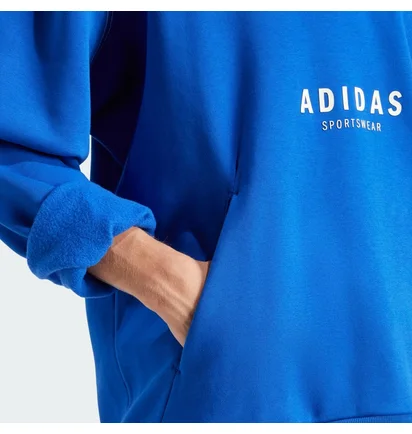 Худи мужское Adidas All Szn Fleece Graphic Sportswear Blue JJ3667