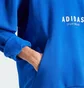 Худи мужское Adidas All Szn Fleece Graphic Sportswear Blue JJ3667