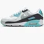 Кроссовки женские Nike Air Max 90 Shoes White FB8570-101