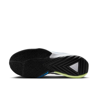 Кросівки унісекс Nike Zoom Freak 5 Metallic DX4985-402