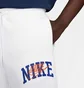 Спортивний костюм чоловічий Nike Club Fleece Brushed-Back White FV4447-100__FV4453-100