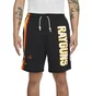 Шорты мужские Nike Dri-Fit Rayguns Black CV1936-010