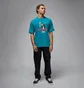 Футболка чоловіча Air Jordan Mreissue Gx Ss Crew Blue HJ2356-301