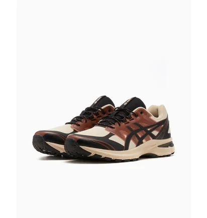 Кроссовки мужские Asics Gel-Terrain Brown 1203A342-250
