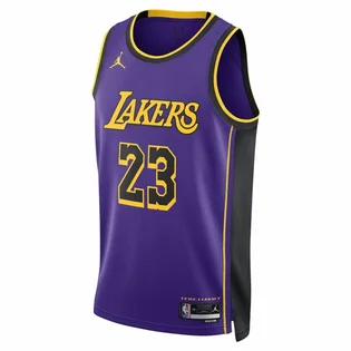 Майка мужская Air Jordan Dri-Fit Nba Swingman Jersey Los Angeles Lakers Statement Edition Lebron James Violet DO9530-508