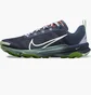 Кросівки жіночі Nike Terra Kiger 9 Blue DR2694-403