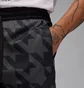 Шорты мужские Air Jordan Printed Diamond Black/Grey FV8616-010