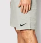 Шорты мужские Nike Shorts M Nk Flc Park20 Short Kz Grey CW6910-063