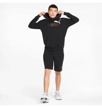 Худи мужское Puma Essentials+ Rainbow Hoodie Black 848678-01