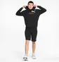 Худи мужское Puma Essentials+ Rainbow Hoodie Black 848678-01