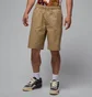 Шорты мужские Air Jordan Essential Brown HF9335-257