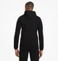 Спортивний костюм чоловічий Puma Evostripe Black 585812-01__585814-01